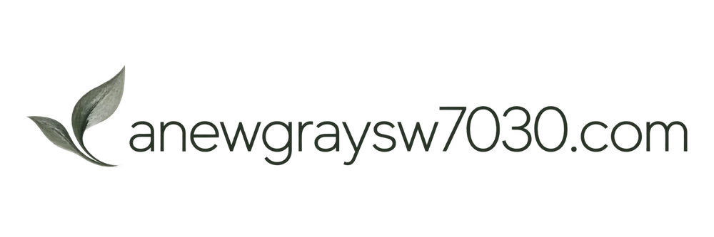 anewgraysw7030.com
